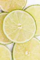 Citrus x aurantifolia (Citroenboom) - afbeelding 12