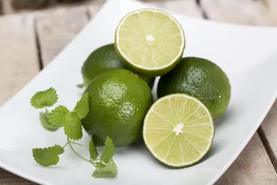 Citrus x aurantifolia (Citroenboom) - afbeelding 4