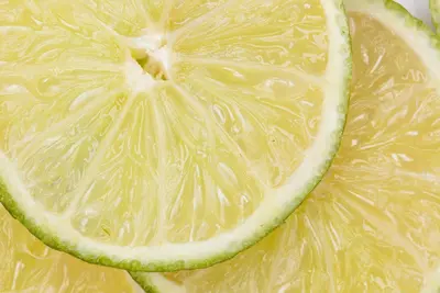 Citrus x aurantifolia (Citroenboom) - afbeelding 13