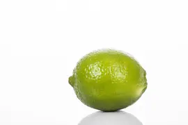 Citrus x aurantifolia (Citroenboom) - afbeelding 18