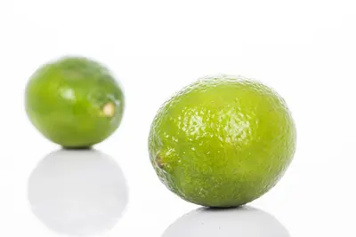 Citrus x aurantifolia (Citroenboom) - afbeelding 19