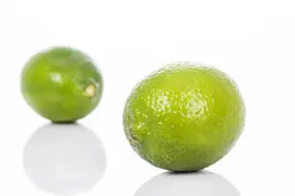 Citrus x aurantifolia (Citroenboom) - afbeelding 19