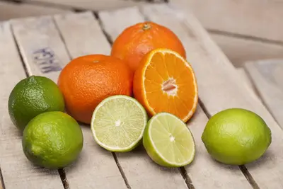 Citrus x aurantifolia (Citroenboom) - afbeelding 7