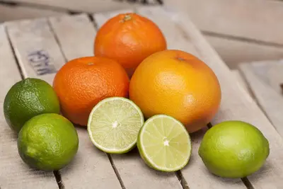 Citrus x aurantifolia (Citroenboom) - afbeelding 8