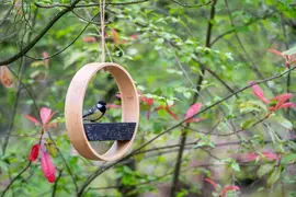 CJ Wildlife Osaka Voederhuisje – Bamboe - afbeelding 6