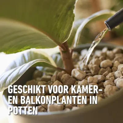 Compo Bio Granuplant Hydrokorrels 5l - afbeelding 3