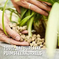 Compo Bio Granuplant Hydrokorrels 5l - afbeelding 6