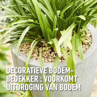 Compo Bio Granuplant Hydrokorrels 5l - afbeelding 7