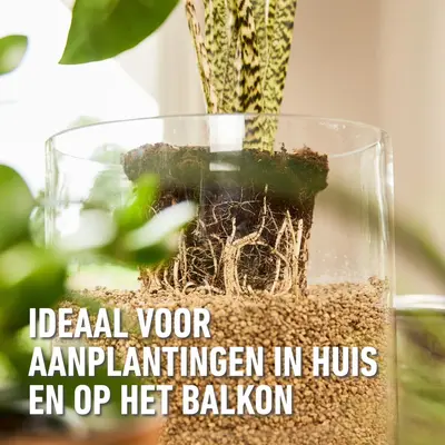 Compo Bio granuplant indoor 3l - afbeelding 3