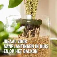 Compo Bio granuplant indoor 3l - afbeelding 3
