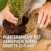 Compo Bio granuplant indoor 3l - afbeelding 6