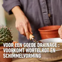 Compo Granuplant® cactussen & vetplanten 3L - afbeelding 4