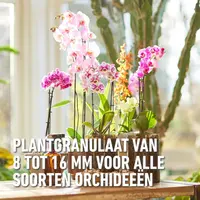 Compo Granuplant® orchideeën 3l - afbeelding 3