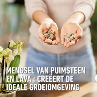 Compo Granuplant® orchideeën 3l - afbeelding 4