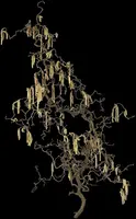 Corylus avellana 'Contorta' (Hazelnoot 'Contorta') - afbeelding 7