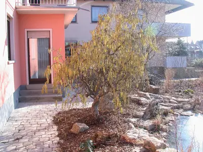 Corylus avellana 'Contorta' (Hazelnoot 'Contorta') - afbeelding 9