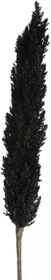 Countryfield astilbe 125cm zwart - afbeelding 1