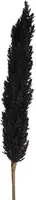 Countryfield astilbe 125cm zwart - afbeelding 1