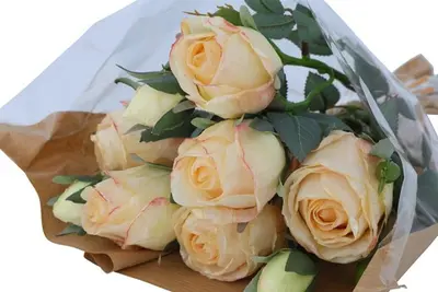 Countryfield kunstboeket  44cm wit - afbeelding 2