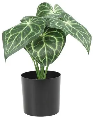 Countryfield Kunstplant Arthurium S (kunst)zijde 25x22x31cm groen - afbeelding 1