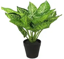 Countryfield kunstplant calathea 0cm groen - afbeelding 1