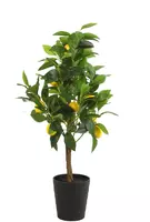 Countryfield kunstplant citroen 75cm geel, groen - afbeelding 1