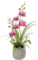 Countryfield Kunstplant Phalenopsis mini w/pot arrangement (kunst)zijde 8x9x34cm roze - afbeelding 1