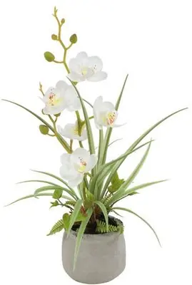 Countryfield Kunstplant Phalenopsis mini w/pot arrangement (kunst)zijde 8x9x34cm wit - afbeelding 1