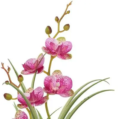 Countryfield Kunstplant Phalenopsis mini w/pot arrangement (kunst)zijde 8x9x34cm roze - afbeelding 2