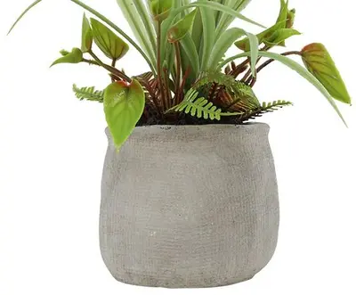 Countryfield Kunstplant Phalenopsis mini w/pot arrangement (kunst)zijde 8x9x34cm roze - afbeelding 3