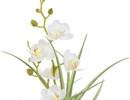 Countryfield Kunstplant Phalenopsis mini w/pot arrangement (kunst)zijde 8x9x34cm wit - afbeelding 2