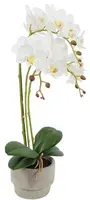 Countryfield Kunstplant Phalenopsis w/pot (kunst)zijde 15x25x56cm wit - afbeelding 1