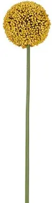 Countryfield kunsttak allium 73cm geel - afbeelding 1