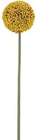 Countryfield kunsttak allium 73cm geel - afbeelding 1