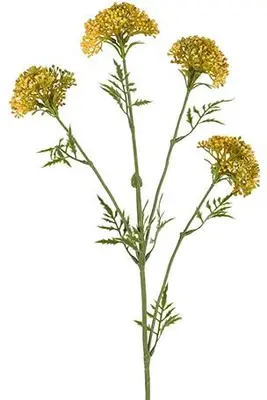 Countryfield kunsttak anthriscus 72cm geel - afbeelding 1