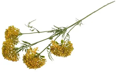 Countryfield kunsttak anthriscus 72cm geel - afbeelding 3