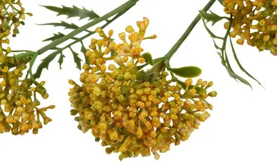 Countryfield kunsttak anthriscus 72cm geel - afbeelding 2