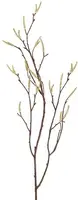Countryfield kunsttak betula 75cm crème - afbeelding 1