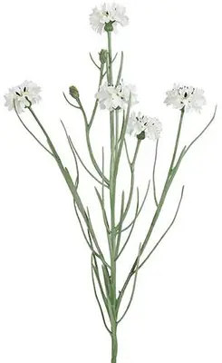 Countryfield kunsttak centaurea cyanus 66cm wit - afbeelding 1