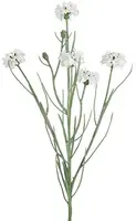 Countryfield kunsttak centaurea cyanus 66cm wit - afbeelding 1