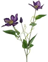 Countryfield kunsttak clementis 20cm paars kopen?