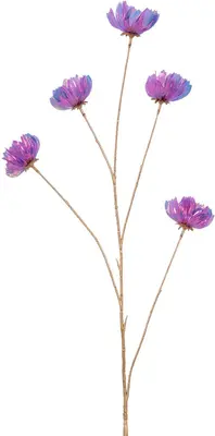 Countryfield kunsttak cosmea 109cm paars, iriserend - afbeelding 1