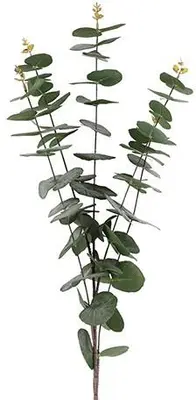 Countryfield Kunsttak Eucalypthus (kunst)zijde 20x20x100cm groen - afbeelding 1