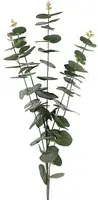 Countryfield Kunsttak Eucalypthus (kunst)zijde 20x20x100cm groen - afbeelding 1