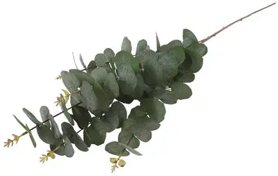 Countryfield Kunsttak Eucalypthus (kunst)zijde 20x20x100cm groen - afbeelding 3