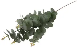 Countryfield Kunsttak Eucalypthus (kunst)zijde 20x20x100cm groen - afbeelding 3