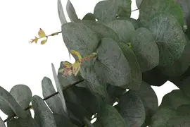 Countryfield Kunsttak Eucalypthus (kunst)zijde 20x20x100cm groen - afbeelding 2