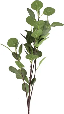 Countryfield kunsttak eucalyptus 90cm groen - afbeelding 1