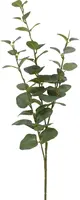 Countryfield kunsttak eucalyptus cinerea 74cm groen - afbeelding 1
