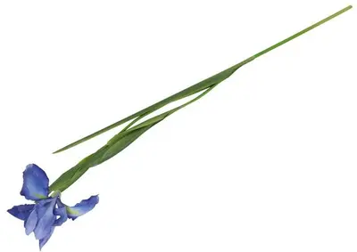 Countryfield kunsttak iris syberica 76cm blauw - afbeelding 2